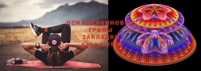 купить закладку  Белоярский  Псилоцибиновые грибы Cubensis 